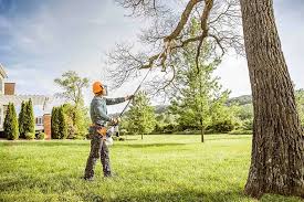 Best Lawn Watering Services  in Bulverde, TX